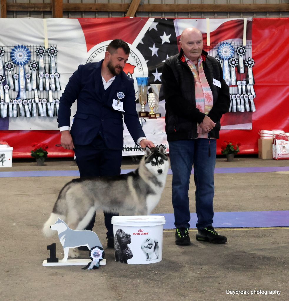 Above the sky de Daybreak Northern