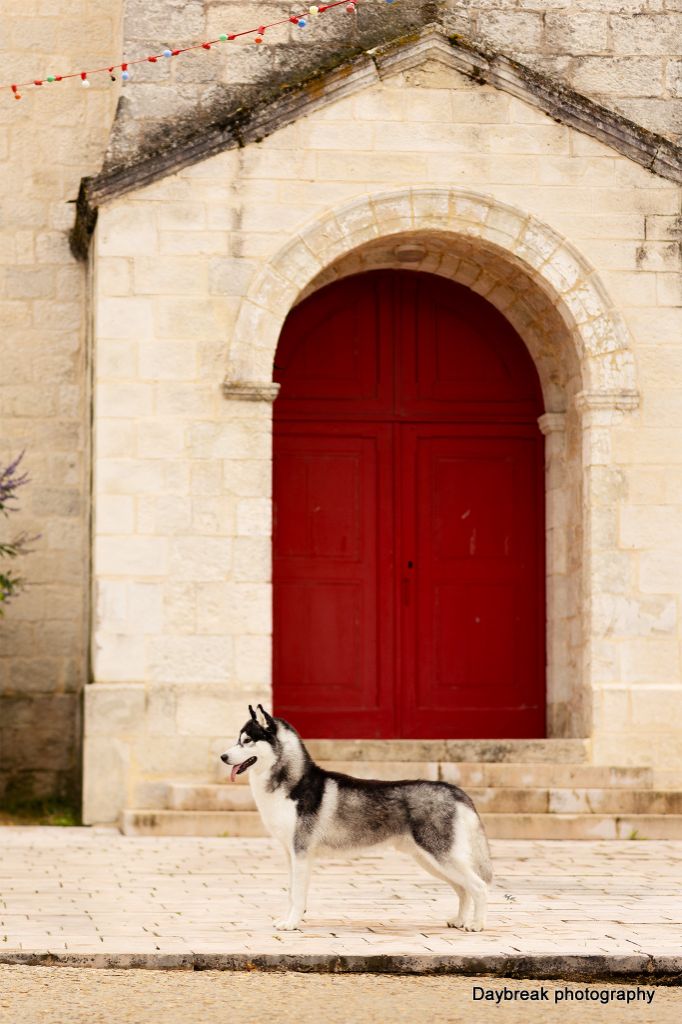 The legend tempts me de Daybreak Northern